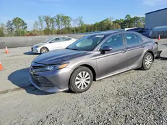 4T1B31HK6KU510405 2019 TOYOTA CAMRY