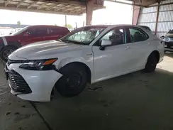 4T1B31HK6KU510727 2019 TOYOTA CAMRY