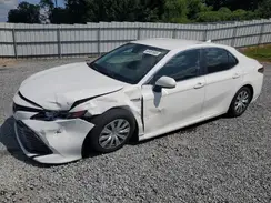 4T1B31HK6KU510811 2019 TOYOTA CAMRY