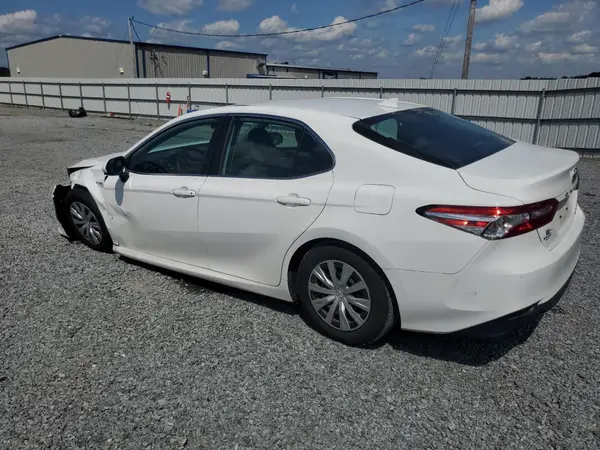 4T1B31HK6KU510811 2019 TOYOTA CAMRY - Image 2