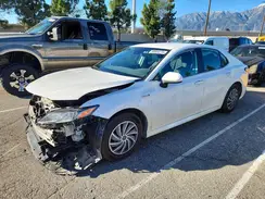 4T1B31HK6KU511165 2019 TOYOTA CAMRY