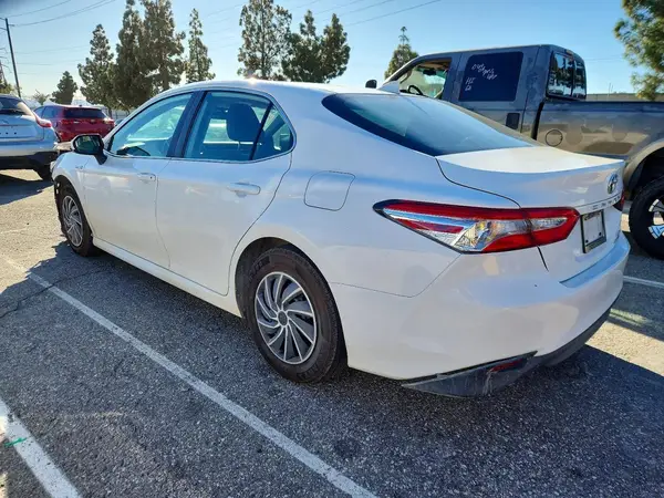 4T1B31HK6KU511165 2019 TOYOTA CAMRY - Image 2