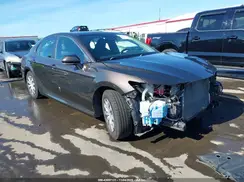 4T1B31HK6KU511246 2019 TOYOTA CAMRY