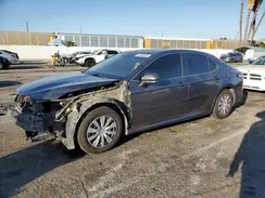 4T1B31HK6KU511750 2019 TOYOTA CAMRY