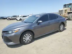 4T1B31HK6KU512512 2019 TOYOTA CAMRY