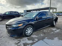 4T1B31HK6KU514213 2019 TOYOTA CAMRY