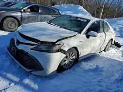 4T1B31HK6KU515197 2019 TOYOTA CAMRY