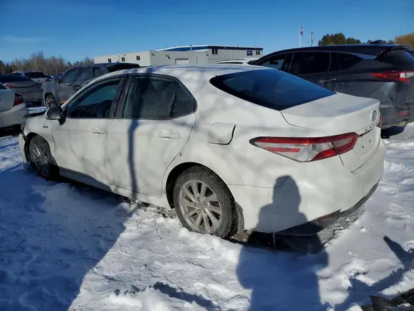 4T1B31HK6KU515197 2019 TOYOTA CAMRY - Image 2