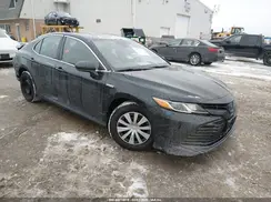 4T1B31HK6KU515684 2019 TOYOTA CAMRY
