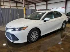 4T1B31HK6KU516284 2019 TOYOTA CAMRY