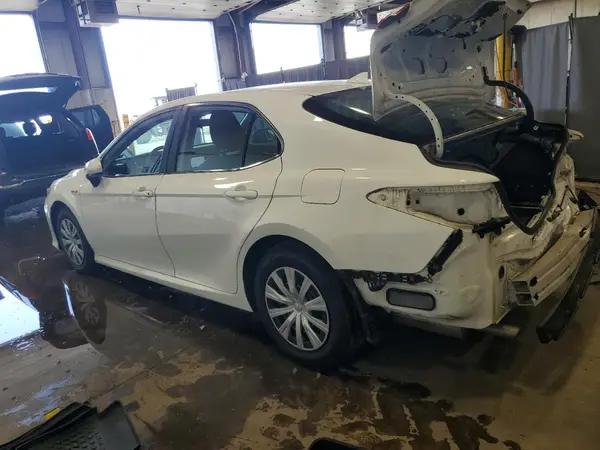 4T1B31HK6KU516284 2019 TOYOTA CAMRY - Image 2