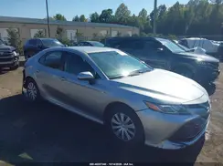 4T1B31HK6KU516964 2019 TOYOTA CAMRY