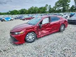 4T1B31HK6KU517368 2019 TOYOTA CAMRY
