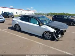 4T1B31HK6KU5A6303 2019 TOYOTA CAMRY