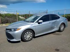 4T1B31HK7JU002359 2018 TOYOTA CAMRY