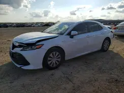 4T1B31HK7JU507091 2018 TOYOTA CAMRY