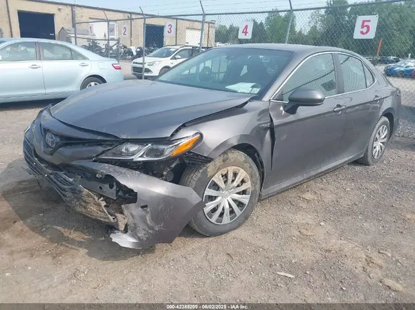 4T1B31HK7KU004923 2019 TOYOTA CAMRY - Image 2