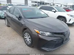 4T1B31HK7KU005358 2019 TOYOTA CAMRY