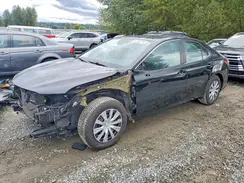 4T1B31HK7KU006039 2019 TOYOTA CAMRY