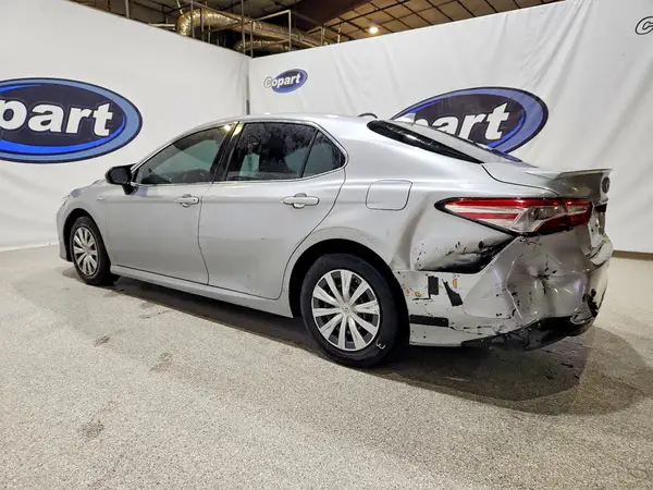 4T1B31HK7KU007417 2019 TOYOTA CAMRY - Image 2