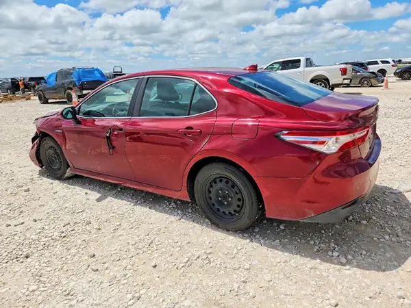 4T1B31HK7KU008194 2019 TOYOTA CAMRY - Image 2