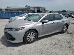 4T1B31HK7KU508789 2019 TOYOTA CAMRY