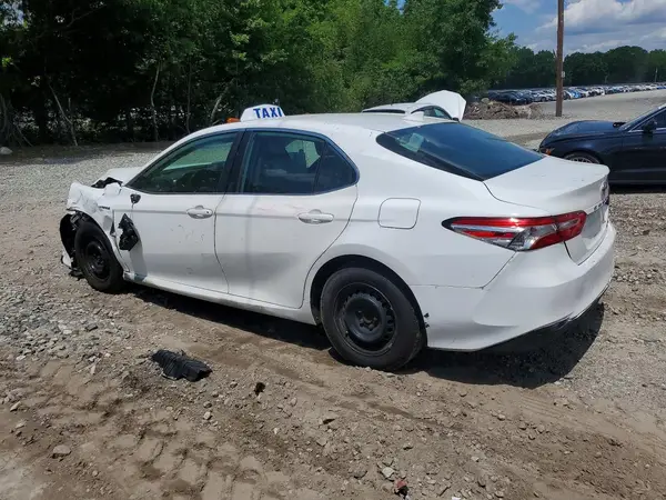 4T1B31HK7KU508968 2019 TOYOTA CAMRY - Image 2