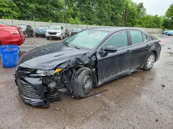 4T1B31HK7KU509151 2019 TOYOTA CAMRY
