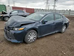 4T1B31HK7KU509179 2019 TOYOTA CAMRY