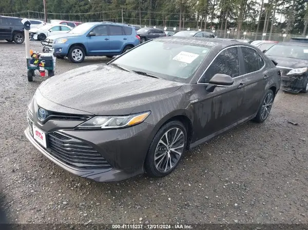4T1B31HK7KU510199 2019 TOYOTA CAMRY - Image 2