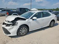 4T1B31HK7KU510901 2019 TOYOTA CAMRY