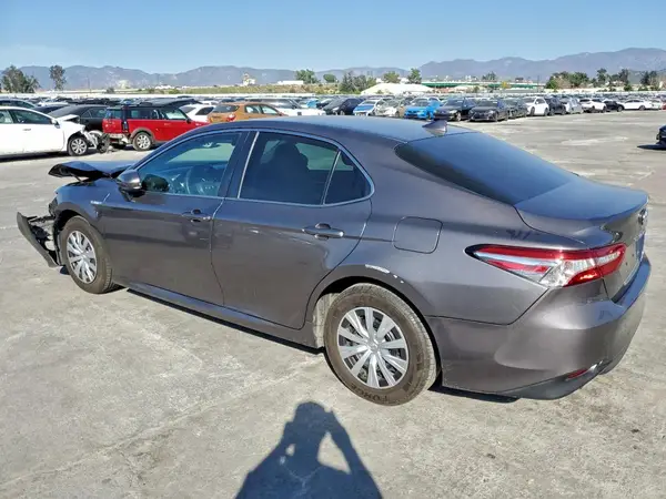 4T1B31HK7KU511465 2019 TOYOTA CAMRY - Image 2