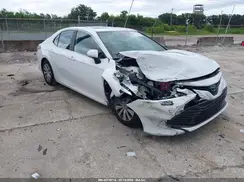 4T1B31HK7KU511496 2019 TOYOTA CAMRY