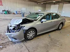 4T1B31HK7KU511689 2019 TOYOTA CAMRY