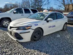 4T1B31HK7KU513197 2019 TOYOTA CAMRY
