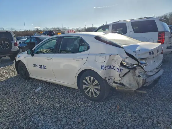 4T1B31HK7KU513197 2019 TOYOTA CAMRY - Image 2