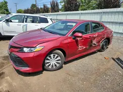 4T1B31HK7KU513782 2019 TOYOTA CAMRY