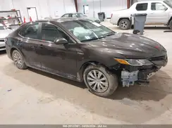 4T1B31HK7KU515645 2019 TOYOTA CAMRY