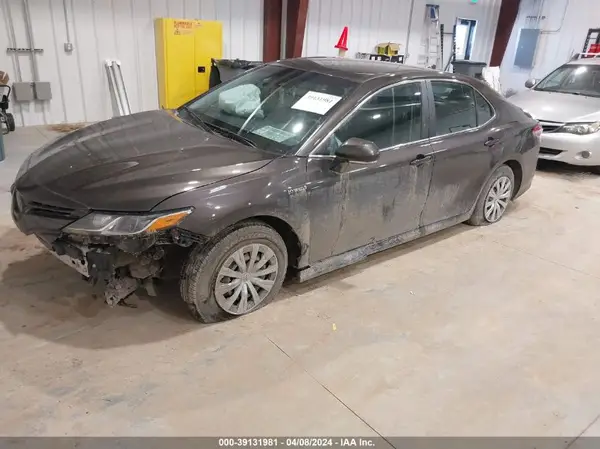 4T1B31HK7KU515645 2019 TOYOTA CAMRY - Image 2