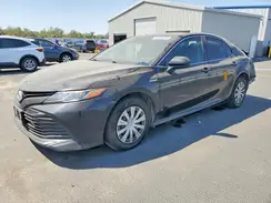 4T1B31HK7KU516701 2019 TOYOTA CAMRY