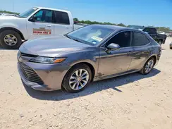 4T1B31HK7KU517198 2019 TOYOTA CAMRY