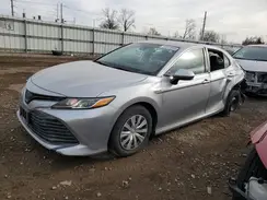 4T1B31HK7KU517301 2019 TOYOTA CAMRY