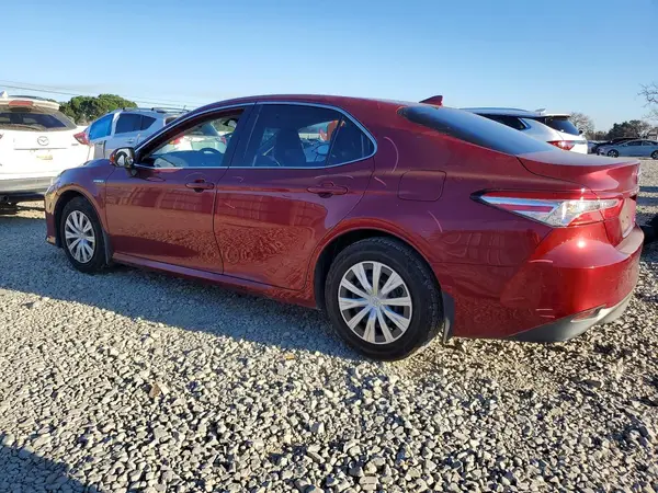 4T1B31HK7KU517346 2019 TOYOTA CAMRY - Image 2