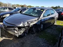 4T1B31HK7KU517525 2019 TOYOTA CAMRY