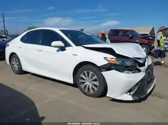 4T1B31HK8KU005840 2019 TOYOTA CAMRY