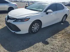 4T1B31HK8KU005952 2019 TOYOTA CAMRY