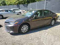 4T1B31HK8KU006034 2019 TOYOTA CAMRY