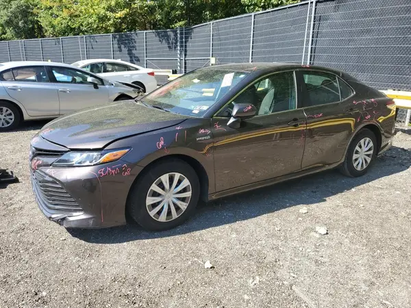 4T1B31HK8KU006034 2019 TOYOTA CAMRY - Image 1