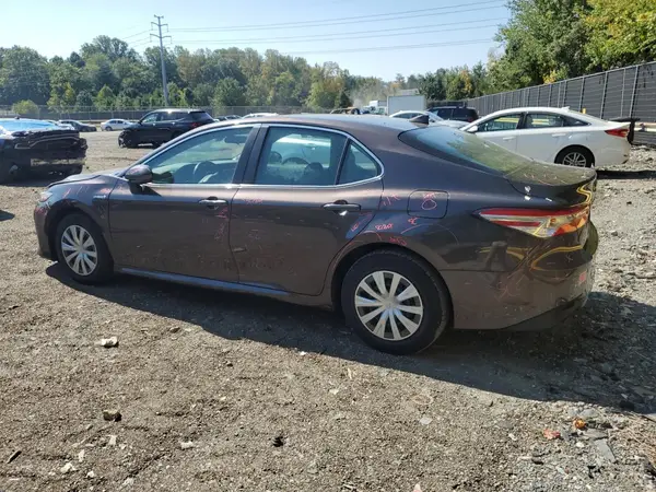 4T1B31HK8KU006034 2019 TOYOTA CAMRY - Image 2