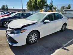 4T1B31HK8KU007099 2019 TOYOTA CAMRY